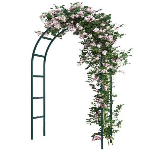 Inch tall shaped - shaped, garden