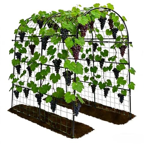 Garden arch trellis for - arch,