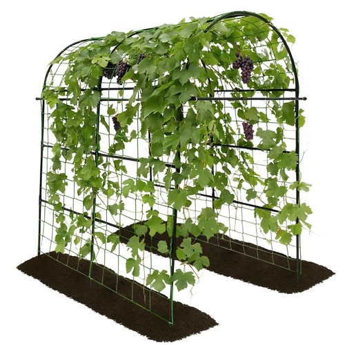 Garden arch trellis - garden,