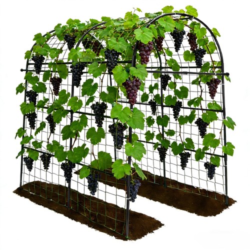 Garden arch trellis - trellis, for