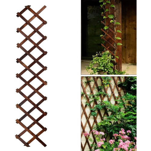 Natural cedar trellis x - cedar,