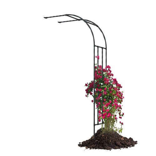 Half sided garden - sided, arch