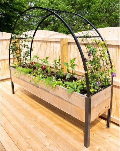 Arch trellis 8 - 2', x