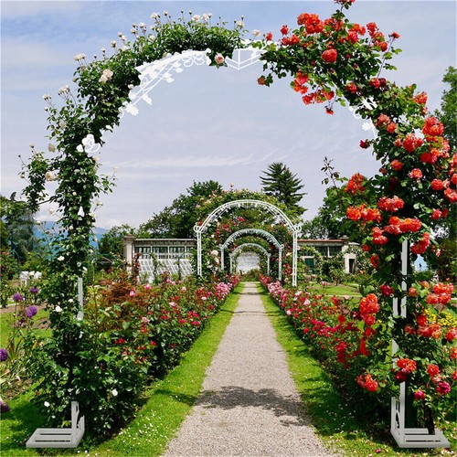 Large rust proof wedding - xl, rust-proof