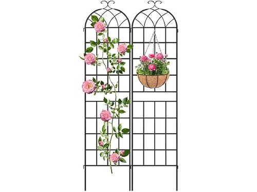 Lzrs 83x20in rustic - rustic, arch